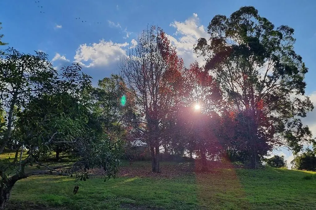 Hébergement de vacances Serenity View Studio Retreat Woombye